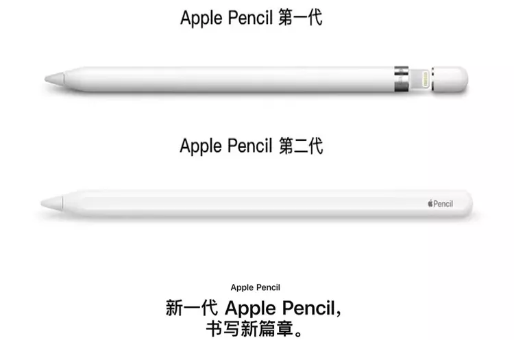 Apple Pencil 第二代触控手写笔Apple Pencil 第二代触控手写笔报价_ 